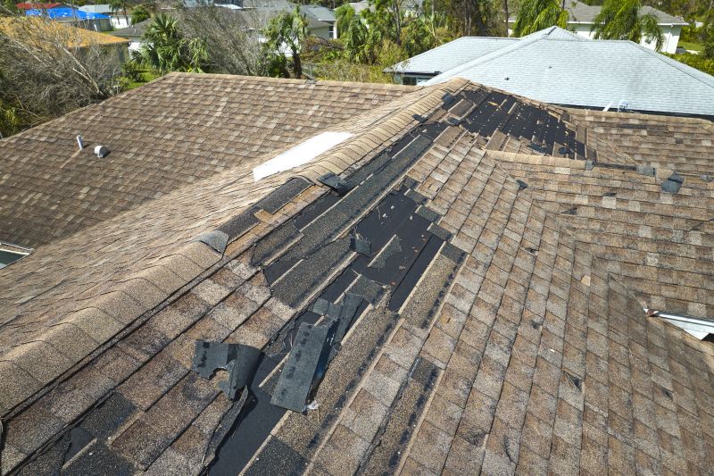 Shingle Repair Work