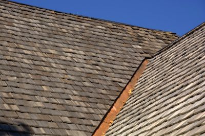 Shed Roof Repair
