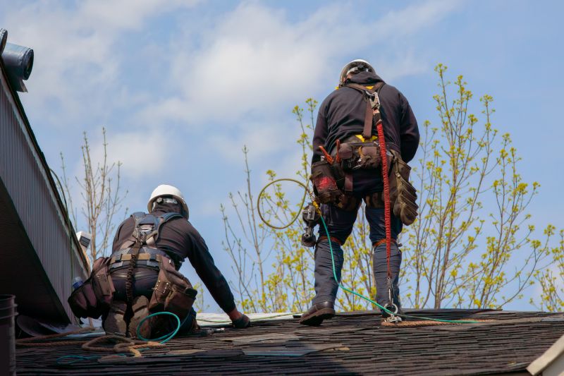 Shed Roof Repair in Action