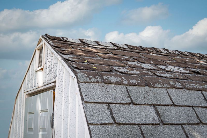 Top Rated Products for Shed Roof Repair
